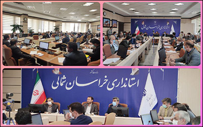 موافقت با ۶ طرح سرمایه گذاری در زمینه کشاورزی و دامپروری در شهرستان های خراسان شمالی