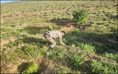 رفع تصرف از اراضی ملی استان همدان در روستای فقیره