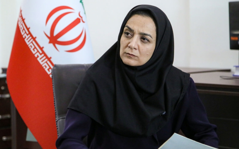 حل مسئله فرونشست نیازمند تعیین متولی در سطح ملی است