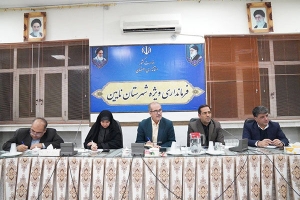 بازدید معاون وزیر راه و شهرسازی از بافت‌های تاریخی نائین و بافران