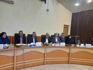 تخصیص بیش از ۱۳ هزار قطعه زمین به خانواده‌های مشمول قانون جوانی جمعیت در کرمان