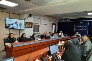 راهنمای طراحی مبلمان شهری فراگیر با محوریت افراد کم‌توان بررسی شد