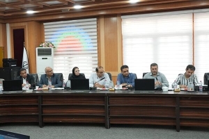 تصویب طرح بازنگری جامع شهر جدید عالیشهر در شورای برنامه‌ریزی و توسعه استان بوشهر